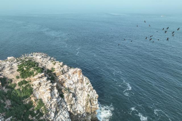 (260730) -- DALIAN, July 30, 2026 (Xinhua) -- An aerial drone photo shows seabirds on the Changshan Archipelago in Dalian, northeast China's Liaoning Province, July 28, 2026. On Monday, the 48th session of the UNESCO World Heritage Committee in Busan, the Republic of Korea, approved the boundary modification of the Migratory Bird Sanctuaries along the Coast of Yellow Sea-Bohai Gulf of China, officially incorporating the Changshan Archipelago into the World Heritage list.
  This marks another expansion of the World Natural Heritage site following its previous expansion in 2024, further improving the integrity of the migratory bird sanctuaries series, according to the National Forestry and Grassland Administration.
  The Changshan Archipelago in Dalian, northeast China's Liaoning Province, sits on the only sea route of the East Asian-Australasian Flyway, and it serves as a critical energy supply stop for tens of millions of migratory birds during their cross-Bohai Sea migration.
  The newly added heritage section covers more than 4,900 hectares. The region is rich in biological resources, with over 140 recorded bird species. (Xinhua/Pan Yulong)