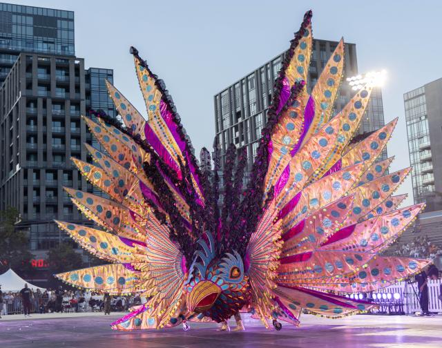 (260731) -- TORONTO, July 31, 2026 (Xinhua) -- A dressed-up competitor performs during the King and Queen Showcase of the 2026 Toronto Caribbean Carnival in Toronto, Canada, on July 30, 2026. Over 30 masqueraders in elaborate costumes participated in this annual event here on Thursday to compete for the titles of King and Queen of the Carnival. (Photo by Zou Zheng/Xinhua)