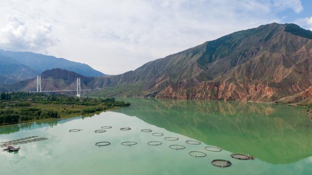 (260731) -- XINING, July 31, 2026 (Xinhua) -- A drone photo taken on July 17, 2026 shows aquaculture cages of a cooperative at Hualong Hui Autonomous County of Haidong City, northwest China's Qinghai Province. (Xinhua/Wang Yan)