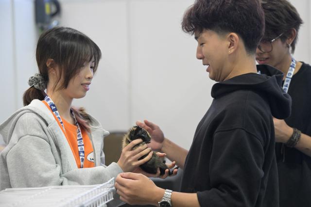 (260731) -- SINGAPORE, July 31, 2026 (Xinhua) -- A man interacts with a pet guinea pig at the Singapore Pet Festival 2026 in Singapore on July 31, 2026. (Xinhua/Then Chih Wey)