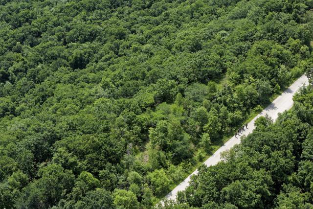 (260731) -- HARBIN, July 31, 2026 (Xinhua) -- An aerial drone photo taken on July 23, 2026 shows female rangers patrolling in Northeast China Tiger and Leopard National Park in Dongning, northeast China's Heilongjiang Province. World Ranger Day is observed on July 31 annually to commemorate rangers killed or injured in the line of duty and to celebrate the work rangers do to protect the world's natural and cultural heritage.
   Founded in 2019 in Kenya, Team Lioness is an all-female community ranger unit operating in Ole Narika conservancy, a corridor which connects Amboseli National Park with the Tsavo ecosystem and serves as a vital migratory route for elephants and other wildlife that would otherwise face increasing pressure from human encroachment. The team regularly patrols up to 400 km a month on foot, monitoring wildlife movements, tracking species using GPS technology and curbing the illegal extraction of natural resources, including excessive firewood collection. 
   Also in 2019, a female rangers team was established in Northeast China Tiger and Leopard National Park in Dongning, northeast China's Heilongjiang Province. Over the past seven years, the team has been engaged in activities including routine inspections to remove traps, maintenance of monitoring equipment, wildlife rescue, and public education on wildlife protection.
   From African savannas to Chinese forests, every step taken by rangers connects us in a shared pledge to protect the wild. (Xinhua/Zhang Tao)