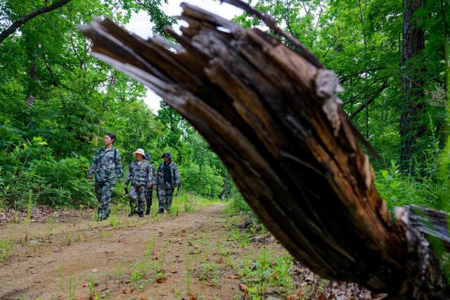 (260731) -- HARBIN, July 31, 2026 (Xinhua) -- Female rangers patrol in Northeast China Tiger and Leopard National Park in Dongning, northeast China's Heilongjiang Province, July 23, 2026. World Ranger Day is observed on July 31 annually to commemorate rangers killed or injured in the line of duty and to celebrate the work rangers do to protect the world's natural and cultural heritage.
   Founded in 2019 in Kenya, Team Lioness is an all-female community ranger unit operating in Ole Narika conservancy, a corridor which connects Amboseli National Park with the Tsavo ecosystem and serves as a vital migratory route for elephants and other wildlife that would otherwise face increasing pressure from human encroachment. The team regularly patrols up to 400 km a month on foot, monitoring wildlife movements, tracking species using GPS technology and curbing the illegal extraction of natural resources, including excessive firewood collection. 
   Also in 2019, a female rangers team was established in Northeast China Tiger and Leopard National Park in Dongning, northeast China's Heilongjiang Province. Over the past seven years, the team has been engaged in activities including routine inspections to remove traps, maintenance of monitoring equipment, wildlife rescue, and public education on wildlife protection.
   From African savannas to Chinese forests, every step taken by rangers connects us in a shared pledge to protect the wild. (Xinhua/Zhang Tao)