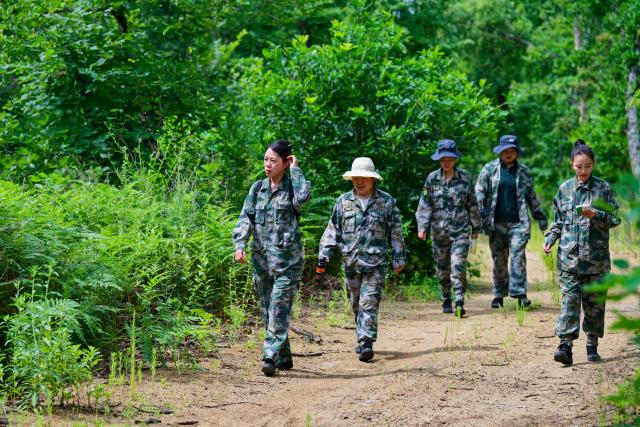 (260731) -- HARBIN, July 31, 2026 (Xinhua) -- Female rangers patrol in Northeast China Tiger and Leopard National Park in Dongning, northeast China's Heilongjiang Province, July 23, 2026. World Ranger Day is observed on July 31 annually to commemorate rangers killed or injured in the line of duty and to celebrate the work rangers do to protect the world's natural and cultural heritage.
   Founded in 2019 in Kenya, Team Lioness is an all-female community ranger unit operating in Ole Narika conservancy, a corridor which connects Amboseli National Park with the Tsavo ecosystem and serves as a vital migratory route for elephants and other wildlife that would otherwise face increasing pressure from human encroachment. The team regularly patrols up to 400 km a month on foot, monitoring wildlife movements, tracking species using GPS technology and curbing the illegal extraction of natural resources, including excessive firewood collection. 
   Also in 2019, a female rangers team was established in Northeast China Tiger and Leopard National Park in Dongning, northeast China's Heilongjiang Province. Over the past seven years, the team has been engaged in activities including routine inspections to remove traps, maintenance of monitoring equipment, wildlife rescue, and public education on wildlife protection.
   From African savannas to Chinese forests, every step taken by rangers connects us in a shared pledge to protect the wild. (Xinhua/Zhang Tao)