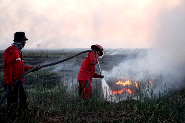 (260803) -- SOUTH SUMATRA, Aug. 3, 2026 (Xinhua) -- This photo taken on Aug. 2, 2026 shows firefighters trying to extinguish a peatland fire in Ogan Ilir regency, South Sumatra province, Indonesia. Indonesia recorded more than 5,000 wildfire hotspots as of mid-July 2026, with the cumulative increase outpacing previous El Nino years, the Meteorology, Climatology and Geophysics Agency said Thursday. (Photo by Muhamad Fadjri/Xinhua)