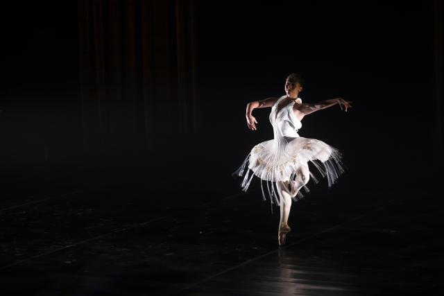 (260803) -- JOHANNESBURG, Aug. 3, 2026 (Xinhua) -- A dancer performs "Ballet of Lights: Sleeping Beauty" in Johannesburg, South Africa, Aug. 2, 2026. The performance, which combines classical ballet with illuminated fiber-optic costumes, was staged in Johannesburg on Sunday. (Photo by Ihsaan Haffejee/Xinhua)