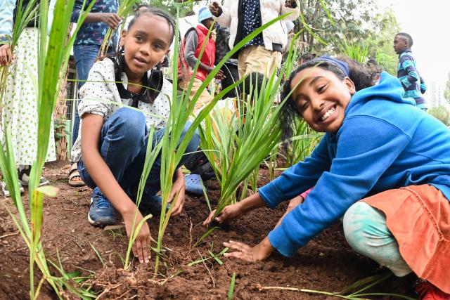 (260803) -- ADDIS ABABA, Aug. 3, 2026 (Xinhua) -- People take part in a nationwide tree-planting campaign as part of the country's flagship Green Legacy Initiative in Addis Ababa, the capital of Ethiopia, Aug. 3, 2026. Millions of Ethiopians and foreign nationals in the country took part in a nationwide tree-planting campaign on Monday, aiming to plant a record-breaking 800 million tree seedlings in a single day as part of the national reforestation drive. The nationwide event is part of the country's flagship Green Legacy Initiative, launched by Prime Minister Abiy Ahmed in 2019. As part of this year's edition of the initiative, the East African country aims to plant a total of more than 8 billion seedlings in the rainy season. (Photo by Michael Tewelde/Xinhua)