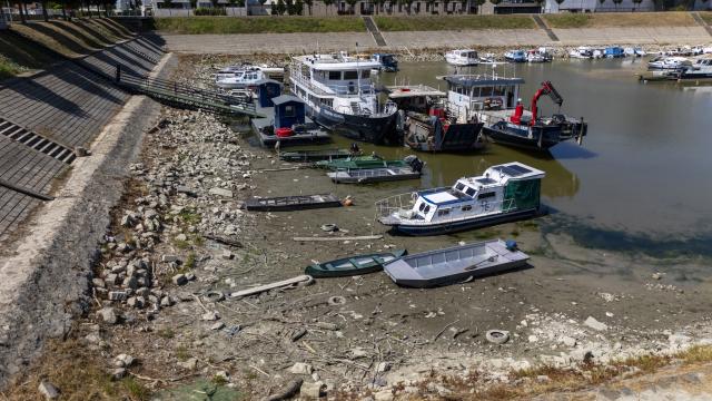 (260804) -- VUKOVAR, Aug. 4, 2026 (Xinhua) -- This aerial drone photo taken on Aug. 4, 2026 shows the exposed riverbed of the Danube River near Vukovar, Croatia after a prolonged heatwave. (Davor Javorovic/PIXSELL via Xinhua)