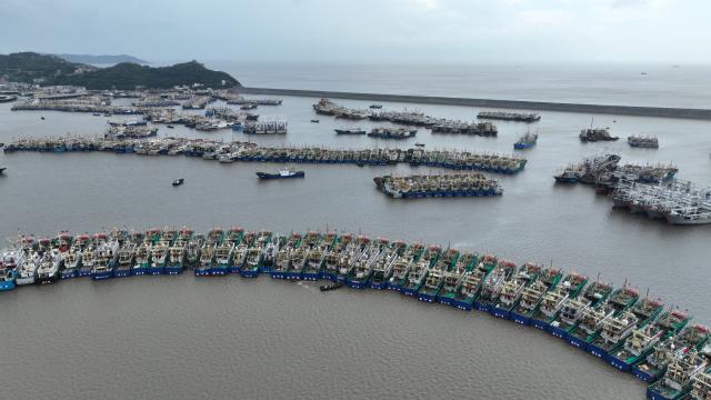(260805) -- HANGZHOU, Aug. 5, 2026 (Xinhua) -- An aerial drone photo shows fishing boats taking shelter from the upcoming typhoon at a port in Wenling, east China's Zhejiang Province, Aug. 5, 2026.
  As Typhoon Dolphin, the 13th typhoon of 2026, is approaching the East China Sea, Zhejiang activated an emergency response along its coastal areas from 6 p.m. Wednesday. (Photo by Zhou Xuejun/Xinhua)