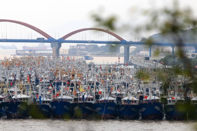 (260805) -- HANGZHOU, Aug. 5, 2026 (Xinhua) -- Fishing boats take shelter from the upcoming typhoon at a port in Zhoushan, east China's Zhejiang Province, Aug. 5, 2026.
  As Typhoon Dolphin, the 13th typhoon of 2026, is approaching the East China Sea, Zhejiang activated an emergency response along its coastal areas from 6 p.m. Wednesday. (Photo by Hu Sheyou/Xinhua)