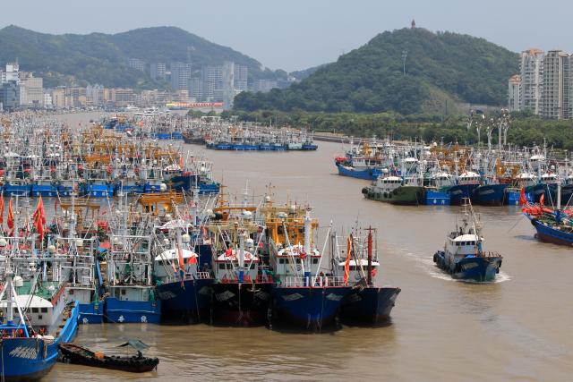 (260805) -- HANGZHOU, Aug. 5, 2026 (Xinhua) -- Fishing boats take shelter from the upcoming typhoon at a port in Zhoushan, east China's Zhejiang Province, Aug. 5, 2026.
  As Typhoon Dolphin, the 13th typhoon of 2026, is approaching the East China Sea, Zhejiang activated an emergency response along its coastal areas from 6 p.m. Wednesday. (Photo by Hu Sheyou/Xinhua)