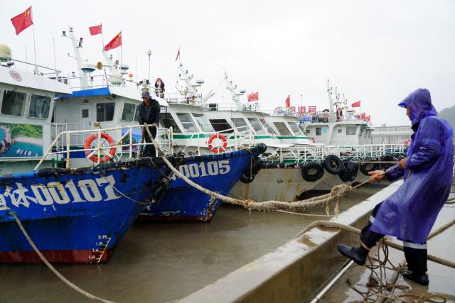 (260805) -- HANGZHOU, Aug. 5, 2026 (Xinhua) -- Staff members strengthen moorings to properly secure vessels at a port in Wenzhou, east China's Zhejiang Province, Aug. 5, 2026.
  As Typhoon Dolphin, the 13th typhoon of 2026, is approaching the East China Sea, Zhejiang activated an emergency response along its coastal areas from 6 p.m. Wednesday. (Photo by Cai Kuanyuan/Xinhua)