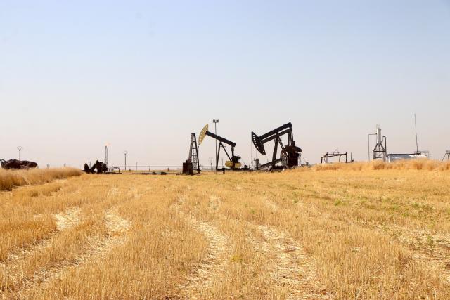 (260805) -- HASAKAH, Aug. 5, 2026 (Xinhua) -- Pumpjacks are seen at the Rmelan oil fields in Hasakah province, northeastern Syria, Aug. 4, 2026. Officials said rehabilitation projects are expected to modernize production facilities and gradually raise output at the country's largest oil fields. (Str/Xinhua)