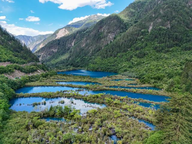 (260806) -- JIUZHAIGOU, Aug. 6, 2026 (Xinhua) -- A drone photo taken on Aug. 5, 2026 shows a view at the Jiuzhaigou scenic spot in southwest China's Sichuan Province. Jiuzhaigou is known for its spectacular waterfalls, lush forests, serene plateau lakes and karst rock formations, making it a popular destination for international tourists. (Xinhua/Wang Xi)