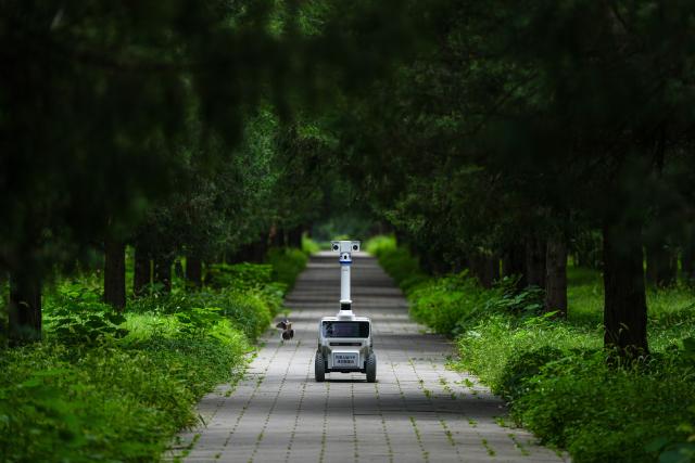 (260806) -- BEIJING, Aug. 6, 2026 (Xinhua) -- A robot patrols at the Temple of Heaven Park in Beijing, capital of China, Aug. 6, 2026.
  Fourteen municipal parks in Beijing have recently introduced a variety of new robots. These robots are now performing tasks such as cleaning, smart inspection, guided tours, water rescue, landscape maintenance, and ecological monitoring, bringing smart services into daily public life. (Xinhua/Ju Huanzong)