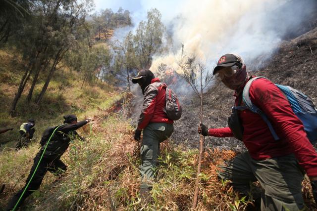 (260806) -- EAST JAVA, Aug. 6, 2026 (Xinhua) -- Joint forces battle a fire at Bromo Tengger Semeru National Park, Probolinggo Regency, East Java, Indonesia, on Aug. 6, 2026. (Photo by Bayu Novanta/Xinhua)