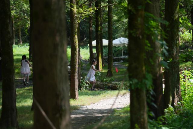 (260806) -- ANJI, Aug. 6, 2026 (Xinhua) -- Children play in a forest in Anji County, east China's Zhejiang Province, Aug. 5, 2026. During the summer vacation, Anji County leverages its cool weather and beautiful scenery, attracting numerous tourists to escape the summer heat. (Xinhua/Huang Zongzhi)