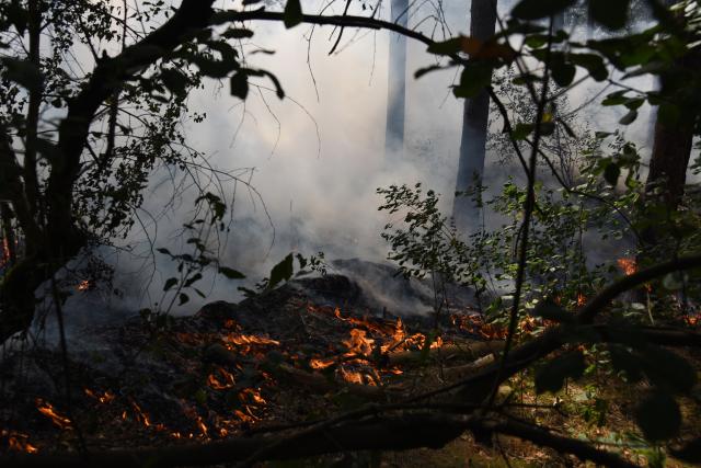 (260806) -- VENRAY, Aug. 6, 2026 (Xinhua) -- Wildfire is seen in Boschhuizerbergen nature reserve of Venray, the Netherlands, Aug. 6, 2026. (Xinhua/Shao Haijun)