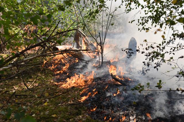 (260806) -- VENRAY, Aug. 6, 2026 (Xinhua) -- Wildfire is seen in Boschhuizerbergen nature reserve of Venray, the Netherlands, Aug. 6, 2026. (Xinhua/Shao Haijun)