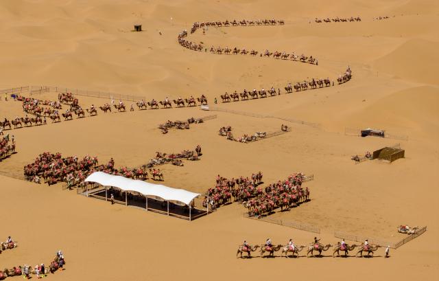 (260807) -- ZHONGWEI, Aug. 7, 2026 (Xinhua) -- An aerial drone photo taken on Aug. 6, 2026 shows tourists riding camels at the Shapotou scenic area in Zhongwei, northwest China's Ningxia Hui Autonomous Region. The Shapotou scenic area features a unique landscape where desert, the Yellow River, mountain and oasis converge. During the peak summer tourism season, the scenic area has witnessed a surge in visitors, with daily arrivals exceeding 20,000 at its peak. (Xinhua/Yang Zhisen)