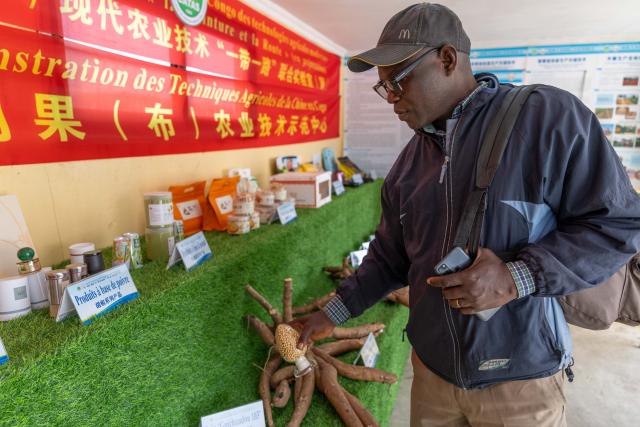 (260807) -- BRAZZAVILLE, Aug. 7, 2026 (Xinhua) -- A visitor views Chinese soybean varieties displayed at the booth of the China-aided Agricultural Technology Demonstration Center in the Republic of the Congo during the second Great Agricultural Fair of Congo at the Agricultural Expositions Park in Bambou-Mingali, about 60 km north of Brazzaville, the Republic of the Congo, Aug. 6, 2026. The fair kicked off here on Wednesday, attracting hundreds of exhibitors from the Republic of the Congo and neighboring countries. (Xinhua/Zheng Yangzi)