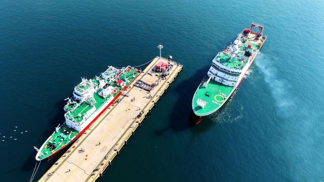 (260807) -- QINGDAO, Aug. 7, 2026 (Xinhua) -- A drone photo taken on Aug. 7, 2026 shows China's comprehensive research vessel KEXUE at a wharf base in Qingdao, east China's Shandong Province. KEXUE docked at a wharf base of the Institute of Oceanology under the Chinese Academy of Sciences on Friday, marking the conclusion of a shared research cruise in the western Pacific after a 35-day voyage covering 5,845 nautical miles. The data and samples obtained during the cruise will provide scientific support for more accurate typhoon forecasting and global climate change research. (Photo by Yu Fangping/Xinhua)