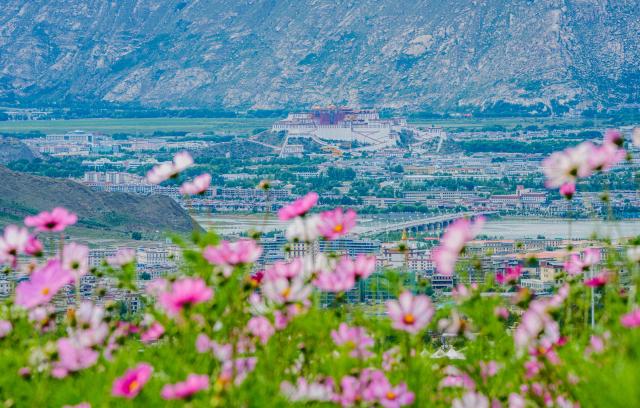 (260807) -- LHASA, Aug. 7, 2026 (Xinhua) -- This photo taken on Aug. 6, 2026 shows the Potala Palace in Lhasa, southwest China's Xizang Autonomous Region. (Xinhua/Tenzin Nyida)