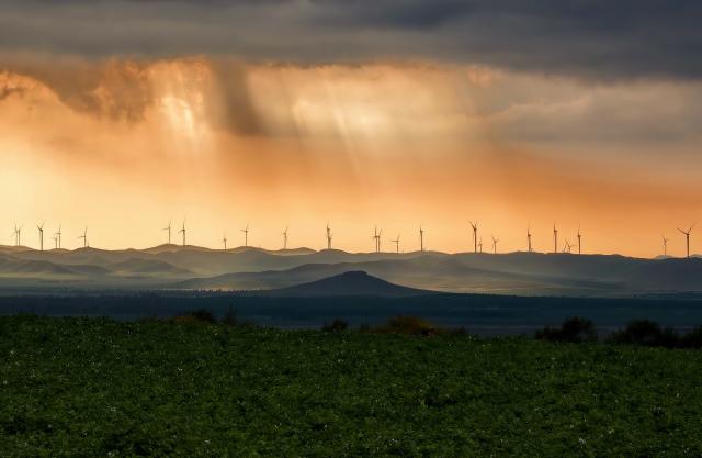 (260809) -- SHIJIAZHUANG, Aug. 9, 2026 (Xinhua) -- This photo taken with a mobile phone on Aug. 8, 2026 shows the scenery of a wind farm in Bashang area, north China's Hebei Province. (Xinhua/Yang Shiyao)