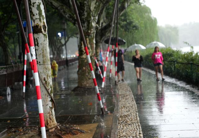 (260809) -- HANGZHOU, Aug. 9, 2026 (Xinhua) -- Visitors walk past temporarily reinforced trees along the West Lake in Hangzhou, east China's Zhejiang Province, Aug. 9, 2026. China's national observatory on Sunday activated a red alert -- the highest level in the country's typhoon warning system -- as Typhoon Dolphin approaches.
  Typhoon Dolphin is forecast to make landfall along the country's east coast from Zhoushan in Zhejiang Province to Fuding in Fujian Province, according to the National Meteorological Center (NMC). (Xinhua/Han Chuanhao)