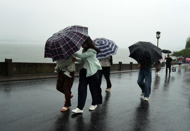(260809) -- HANGZHOU, Aug. 9, 2026 (Xinhua) -- Visitors walk in the rain on the Duanqiao Bridge (Broken Bridge) at the West Lake scenic area in Hangzhou, east China's Zhejiang Province, Aug. 9, 2026. China's national observatory on Sunday activated a red alert -- the highest level in the country's typhoon warning system -- as Typhoon Dolphin approaches.
  Typhoon Dolphin is forecast to make landfall along the country's east coast from Zhoushan in Zhejiang Province to Fuding in Fujian Province, according to the National Meteorological Center (NMC). (Xinhua/Han Chuanhao)