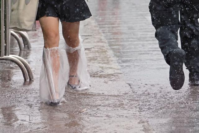 (260809) -- SHANGHAI, Aug. 9, 2026 (Xinhua) -- People walk in the rain on a road in Songjiang District of Shanghai, east China, Aug. 9, 2026. Shanghai experienced strong winds and rainfalls on Sunday as Typhoon Dolphin approached, with the typhoon's impact expected to last until Aug. 11.
  China's national observatory on Sunday activated a red alert -- the highest level in the country's typhoon warning system -- as Typhoon Dolphin approaches.
  Typhoon Dolphin is forecast to make landfall along the country's east coast from Zhoushan in Zhejiang Province to Fuding in Fujian Province, according to the National Meteorological Center (NMC). (Xinhua/Liu Ying)