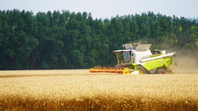 (260809) -- HARBIN, Aug. 9, 2026 (Xinhua) -- A harvester works at a wheat field of a farming company under Beidahuang Group in northeast China's Heilongjiang Province, Aug. 7, 2026. (Photo by Ren Baoji/Xinhua)