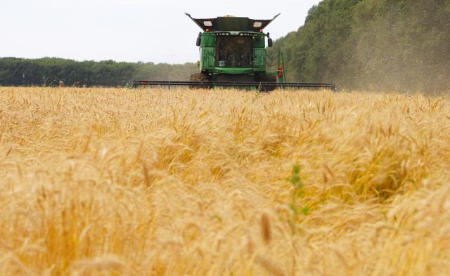 (260809) -- HARBIN, Aug. 9, 2026 (Xinhua) -- A harvester works at a wheat field of a farming company under Beidahuang Group in northeast China's Heilongjiang Province, Aug. 9, 2026. (Photo by Zhang Hongxi/Xinhua)