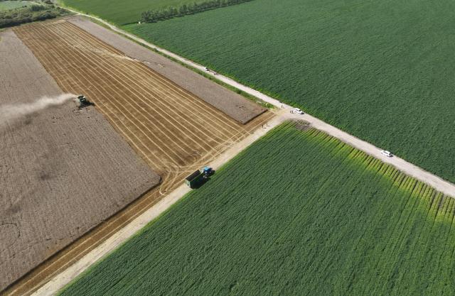 (260809) -- HARBIN, Aug. 9, 2026 (Xinhua) -- An aerial drone photo taken on Aug. 7, 2026 shows harvesters working at a wheat field of a farming company under Beidahuang Group in northeast China's Heilongjiang Province. (Photo by Lin Jinchun/Xinhua)