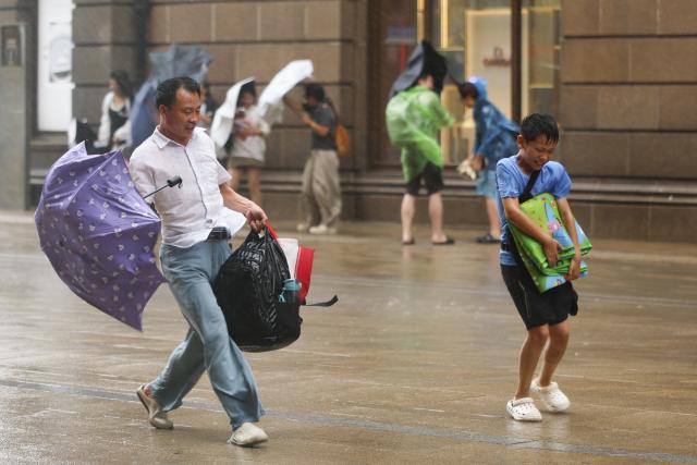 (260809) -- SHANGHAI, Aug. 9, 2026 (Xinhua) -- A father and his child walk amid rain at Huangpu District of Shanghai, east China, on Aug. 9, 2026. China's eastern metropolis Shanghai issued its highest rainstorm alert Sunday over rising risks of urban waterlogging brought by Typhoon Dolphin, the 13th typhoon of the year that has a great impact on the country's coastal regions.
   China's national observatory on Sunday activated a red alert -- the highest level in the country's typhoon warning system -- as Typhoon Dolphin approaches.
   Typhoon Dolphin is forecast to make landfall along the country's east coast from Sanmen in Zhejiang Province to Fuding in Fujian Province around Sunday evening to the early hours of Monday, according to the National Meteorological Center (NMC). (Xinhua/Wang Xiang)