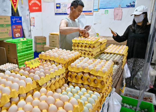 (260809) -- BEIJING, Aug. 9, 2026 (Xinhua) -- A woman buys eggs at a farm produce market in Suiyang District of Shangqiu City, central China's Henan Province, Aug. 9, 2026.
  China's consumer price index (CPI), a main gauge of inflation, rose 0.5 percent year on year in July, official data showed Sunday. (Photo by Li Heng/Xinhua)