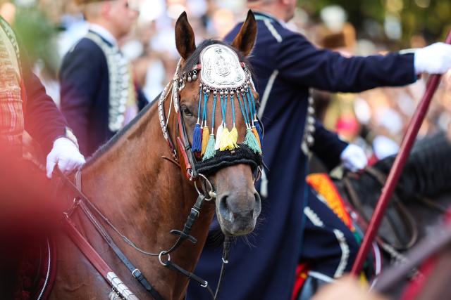 (260809) -- SINJ, Aug. 9, 2026 (Xinhua) -- This photo taken on Aug. 9, 2026, shows a scene during the Sinjska Alka, a UNESCO-listed traditional knightly equestrian tournament in the town of Sinj, Croatia. (Zvonimir Barisin/Pixsell Via Xinhua)