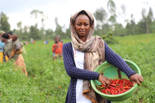 (260810) -- NAIROBI, Aug. 10, 2026 (Xinhua) -- Farmer Deborah Muhawenimana poses for a photo with freshly picked chilis in Ibiza Village of Kayonza District in Eastern Province, Rwanda, April 14, 2026. (Xinhua/Ju Yinhe)
