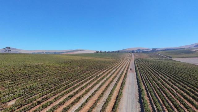 (260810) -- NAIROBI, Aug. 10, 2026 (Xinhua) -- This aerial drone photo taken on March 31, 2026 shows the Diemersdal Wine Estate in Cape Town, South Africa. (Xinhua/Deng Bingxue)