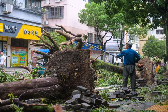 (260810) -- WENZHOU, Aug. 10, 2026 (Xinhua) -- A worker clears fallen trees toppled by Typhoon Dolphin on a street of Yongjia County in Wenzhou, east China's Zhejiang Province, Aug. 10, 2026. Typhoon Dolphin is moving inland after making two landfalls along the coast of east China's Zhejiang Province and is expected to bring heavy precipitation to more than 10 provincial-level regions, according to China's National Meteorological Center on Monday. (Xinhua/Jiang Han)