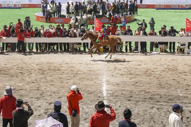(260810) -- NAGQU, Aug. 10, 2026 (Xinhua) -- Champion rider and horse crosses the finish line during the invitational 10,000m speed race of famous horse at the Nagqu Horse Racing Festival 2026 at Gesar Racecourse in Nagqu, southwest China's Xizang Autonomous Region, Aug. 10, 2026. Featuring traditional equestrian contests, ethnic sports performances and trade fair, the event kicked off here on Monday, drawing large crowds of locals and visitors. (Xinhua/Na Yuqi)
