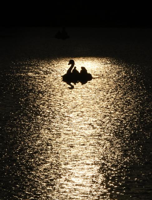 (260810) -- ROME, Aug. 10, 2026 (Xinhua) -- People take a pedal boat on a lake during sunset in Rome, Italy, Aug. 10, 2026. (Photo by Alberto Lingria/Xinhua)