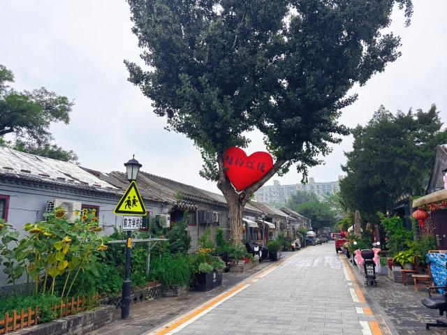 (260811) -- BEIJING, Aug. 11, 2026 (Xinhua) -- This photo taken on July 10, 2026 shows a view of Lanman Hutong in Beijing, capital of China. TO GO WITH "Feature: In a Beijing hutong, old roots hold firm amid renewal" (Xinhua/Zheng Keyi)