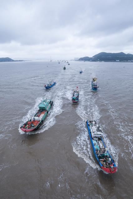 (260811) -- ZHOUSHAN, Aug. 11, 2026 (Xinhua) -- Fishing boats set sail for fishing from Shenjiamen Port in Zhoushan, east China's Zhejiang Province, Aug. 11, 2026. Four types of fishing boats with special permission set sail on Tuesday after a three-month summer fishing ban in the East China Sea. The opening of the fishing season was delayed from the originally scheduled Aug. 5 due to Typhoon Dolphin. (Xinhua/Xu Yu)