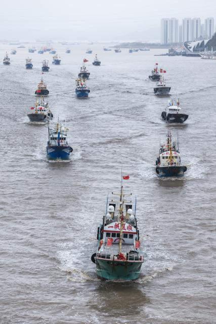 (260811) -- ZHOUSHAN, Aug. 11, 2026 (Xinhua) -- Fishing boats set sail for fishing from Shenjiamen Port in Zhoushan, east China's Zhejiang Province, Aug. 11, 2026. Four types of fishing boats with special permission set sail on Tuesday after a three-month summer fishing ban in the East China Sea. The opening of the fishing season was delayed from the originally scheduled Aug. 5 due to Typhoon Dolphin. (Xinhua/Xu Yu)