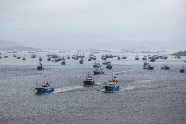 (260811) -- ZHOUSHAN, Aug. 11, 2026 (Xinhua) -- Fishing boats set sail for fishing from Shenjiamen Port in Zhoushan, east China's Zhejiang Province, Aug. 11, 2026. Four types of fishing boats with special permission set sail on Tuesday after a three-month summer fishing ban in the East China Sea. The opening of the fishing season was delayed from the originally scheduled Aug. 5 due to Typhoon Dolphin. (Xinhua/Xu Yu)