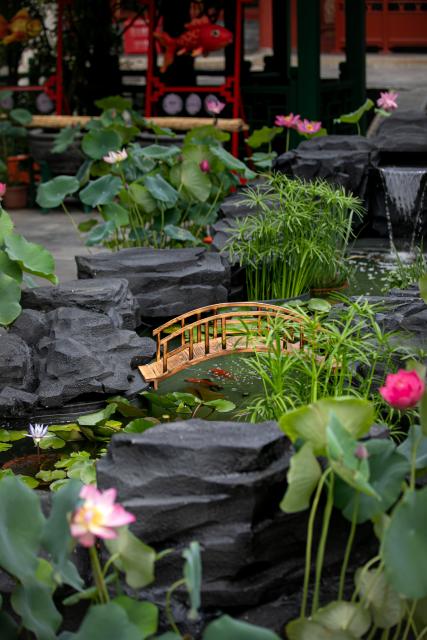 (260811) -- BEIJING, Aug. 11, 2026 (Xinhua) -- This photo taken on Aug. 11, 2026 shows a scene of a goldfish exhibition at the Prince Kung's Palace Museum in Beijing, capital of China. The museum opened its fifth goldfish exhibition on Tuesday. (Xinhua)