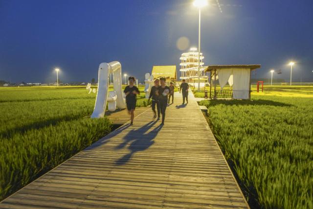 (260811) -- ZUNHUA, Aug. 11, 2026 (Xinhua) -- Tourists enjoy themselves at a paddy-field scenic area at night in Shanligezhuang Village of Zunhua, north China's Hebei Province, Aug. 10, 2026. (Photo by Liu Mancang/Xinhua)