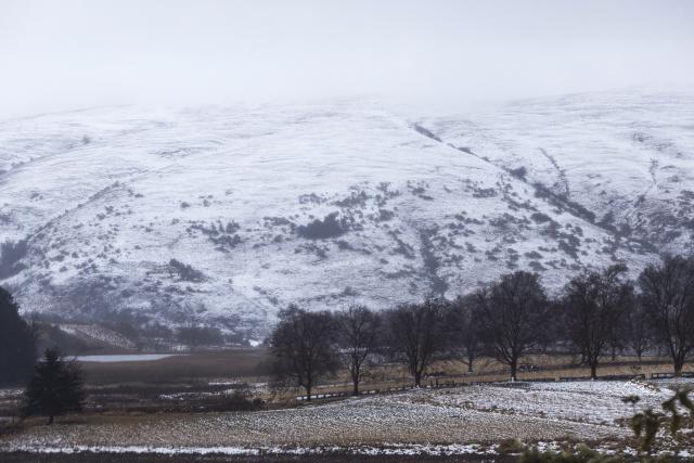(260811) -- UNDERBERG, Aug. 11, 2026 (Xinhua) -- This photo taken on Aug. 11, 2026 shows a view of the snow scenery in Underberg, South Africa. (Photo by James Blackmore/Xinhua)