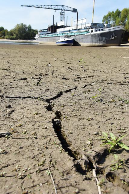(260811) -- ZEVENAAR, Aug. 11, 2026 (Xinhua) -- Photo taken on Aug. 11, 2026 shows the cracked riverbed of the Rhine in Tolkamer, Zevenaar municipality of the Netherlands. According to the Dutch Ministry of Infrastructure and Water Management, the Rhine's discharge at Lobith, where the river enters the Netherlands from Germany, fell below 615 cubic meters per second on Aug. 11, 2026, marking the lowest level ever recorded amid the persistent drought. (Xinhua/Shao Haijun)