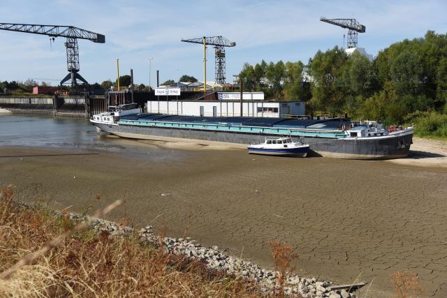 (260811) -- ZEVENAAR, Aug. 11, 2026 (Xinhua) -- Ships ran aground near a harbor of the Rhine in Tolkamer, Zevenaar municipality of the Netherlands, Aug. 11, 2026. According to the Dutch Ministry of Infrastructure and Water Management, the Rhine's discharge at Lobith, where the river enters the Netherlands from Germany, fell below 615 cubic meters per second on Aug. 11, 2026, marking the lowest level ever recorded amid the persistent drought. (Xinhua/Shao Haijun)